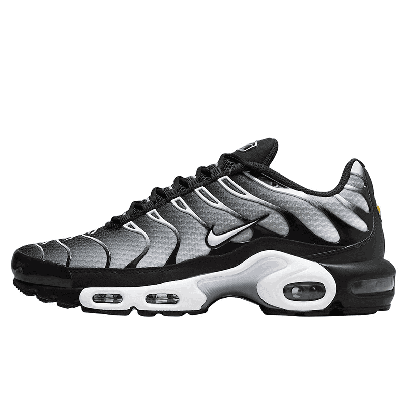 Nike Air Max Plus Black White Gradient