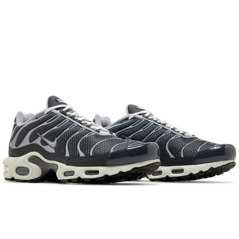 Nike Air Max Plus Iron Grey DZ2655-001