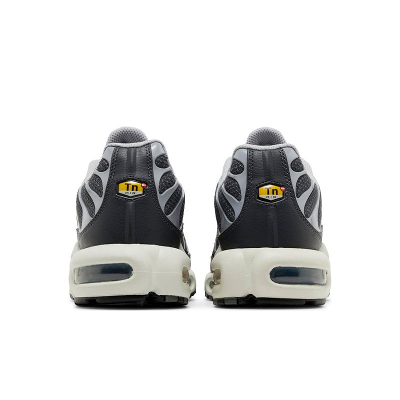 Nike Air Max Plus Iron Grey DZ2655-001