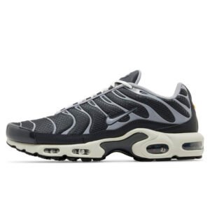 Nike Air Max Plus Iron Grey DZ2655-001
