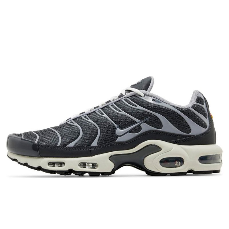 Nike Air Max Plus Iron Grey DZ2655-001