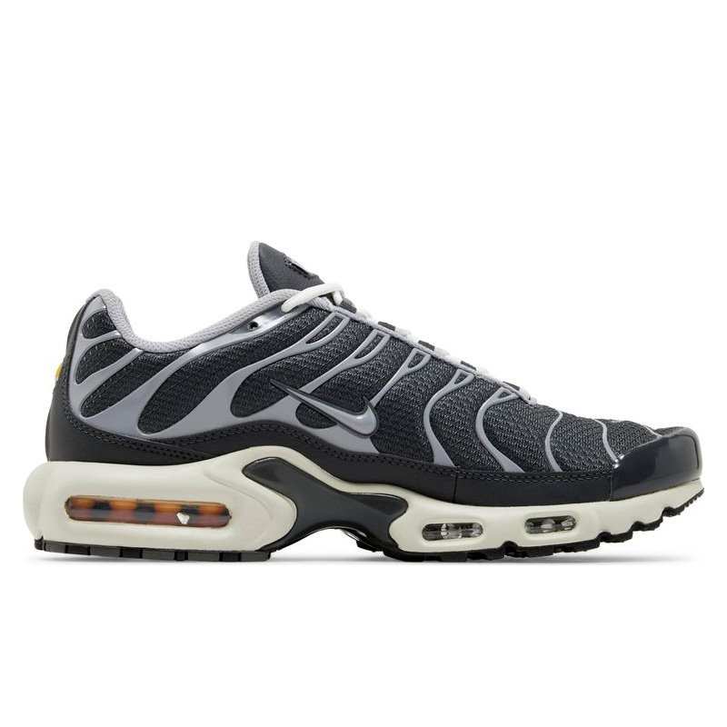 Nike Air Max Plus Iron Grey DZ2655-001