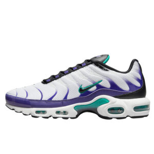 Nike Air Max Plus Grape DM0032-100