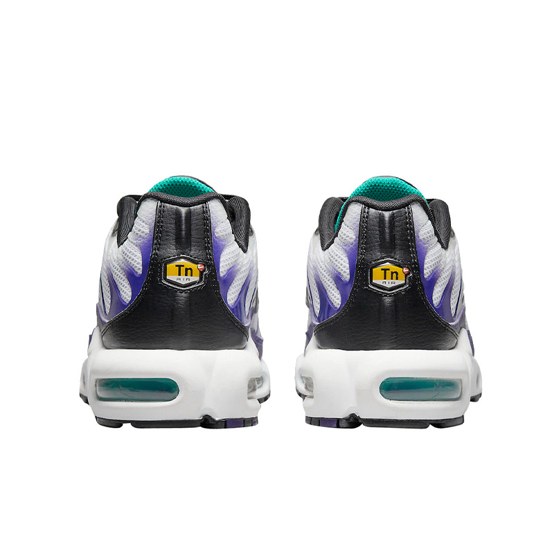 Nike Air Max Plus Grape DM0032-100