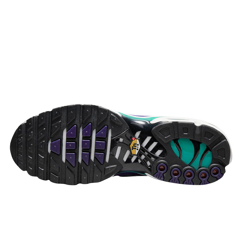 Nike Air Max Plus Grape DM0032-100