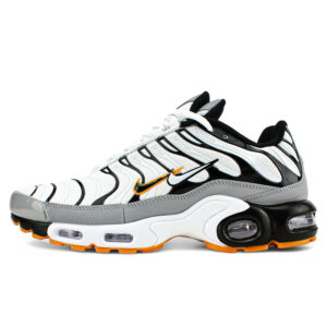 Nike Air Max Plus TN Double Swoosh Mean Grey White