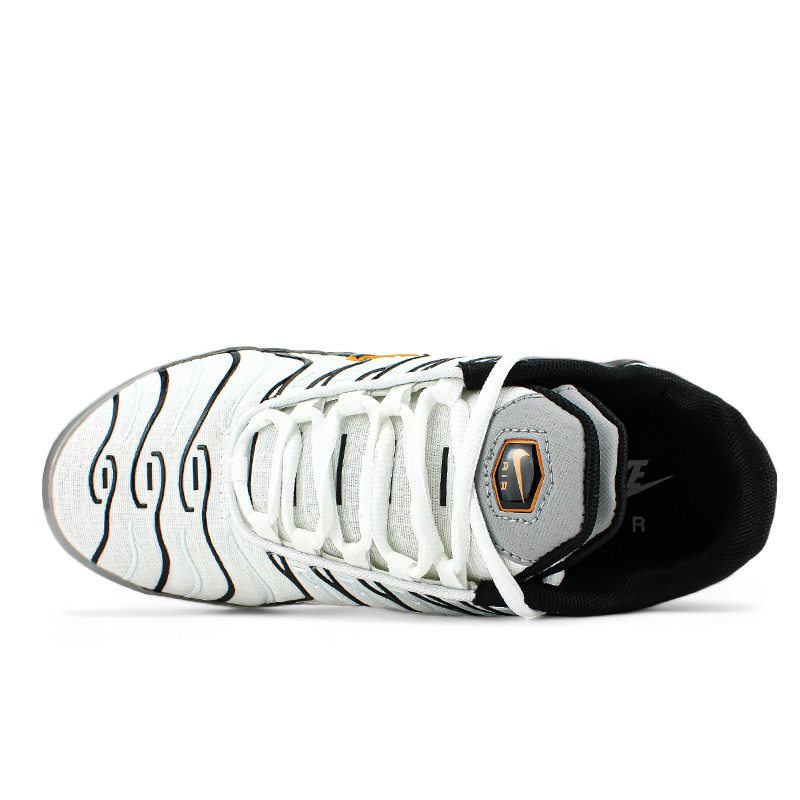 Nike Air Max Plus TN Double Swoosh Mean Grey White