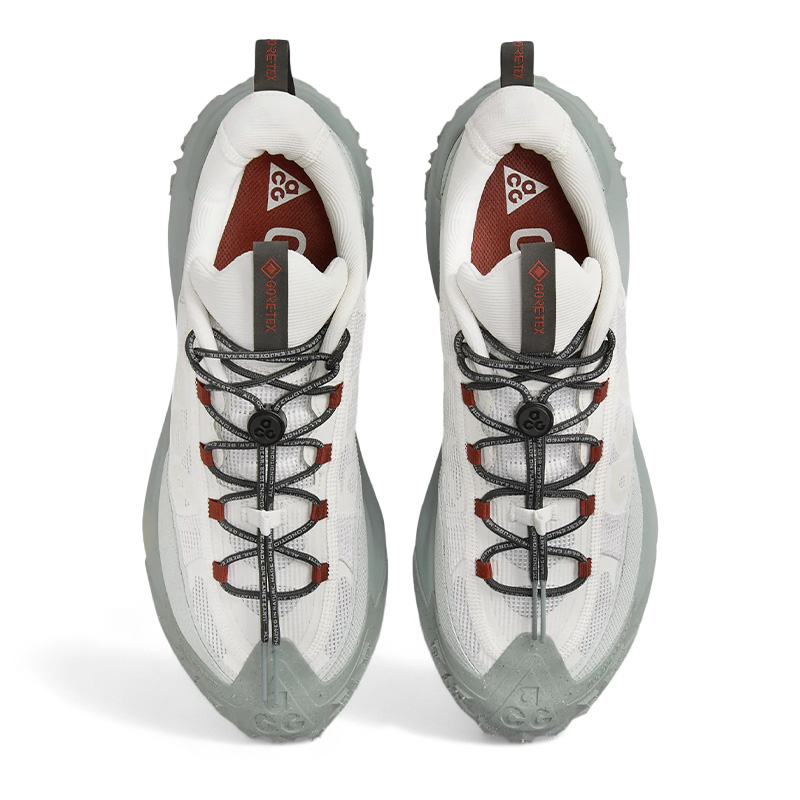 Nike ACG Mountain Fly 2 Low Gore-Tex Phantom Light Silver HF6245-003