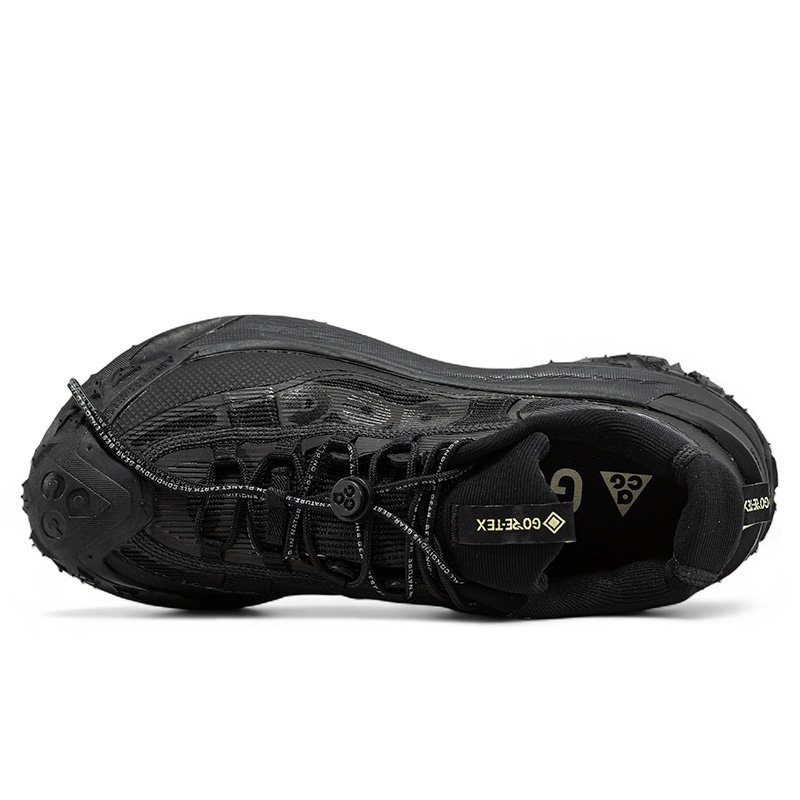Nike ACG Mountain Fly 2 Gore-Tex Low Black