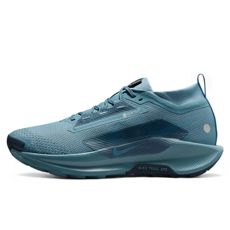 Nike Pegasus Trail 5 Gore-Tex Smokey Blue FQ0908-005