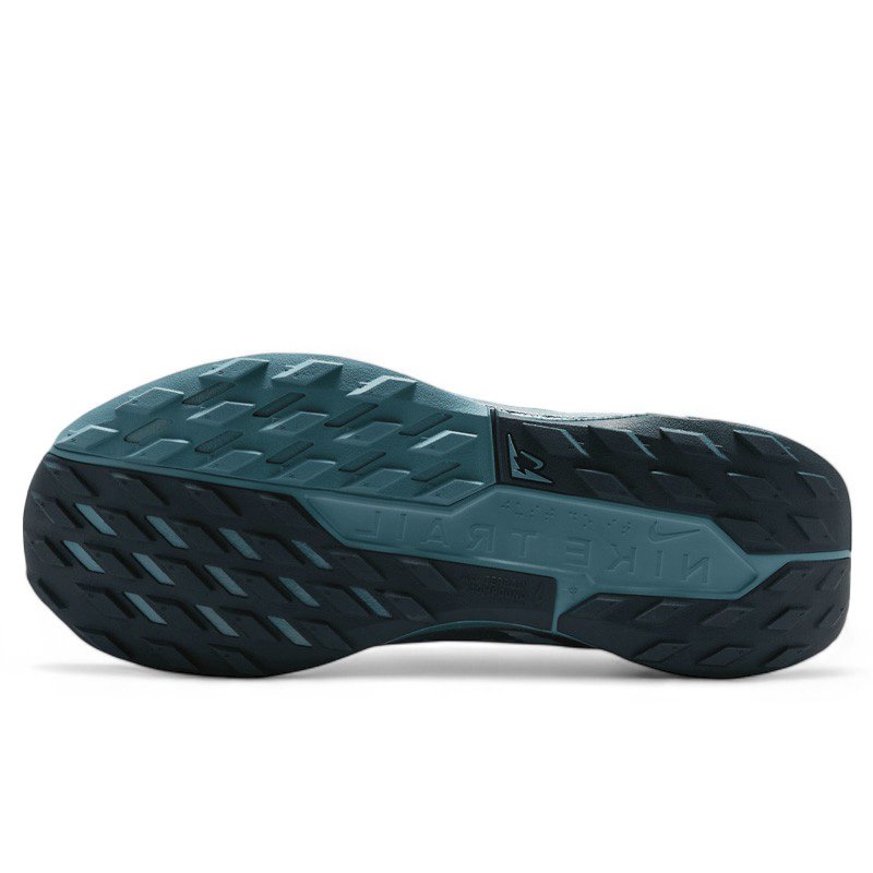 Nike Pegasus Trail 5 Gore-Tex Smokey Blue FQ0908-005
